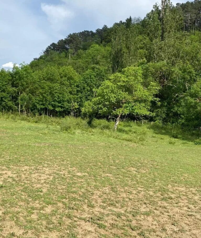 Terrain plat à vendre en Ardèche à Labégude